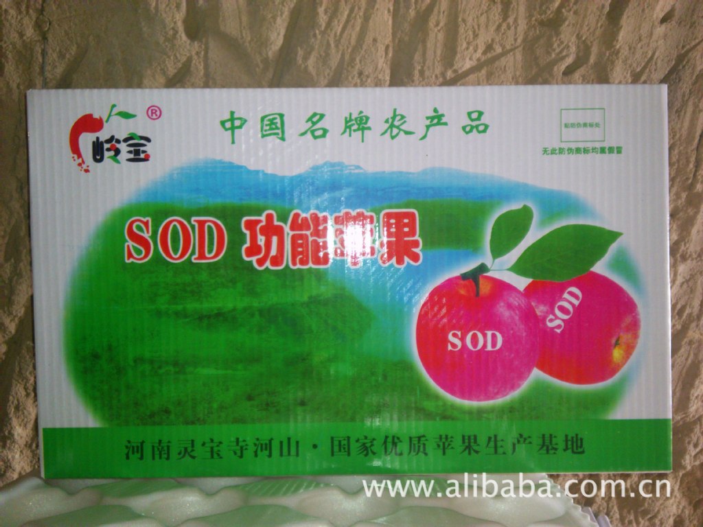 高山果園的饋贈 綠色無公害紅富士蘋果，品質與健康的承諾