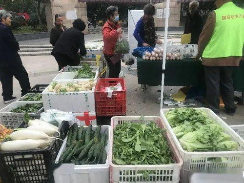 便捷與實(shí)惠并行 高品質(zhì)農(nóng)產(chǎn)品進(jìn)社區(qū)，守護(hù)市民餐桌健康